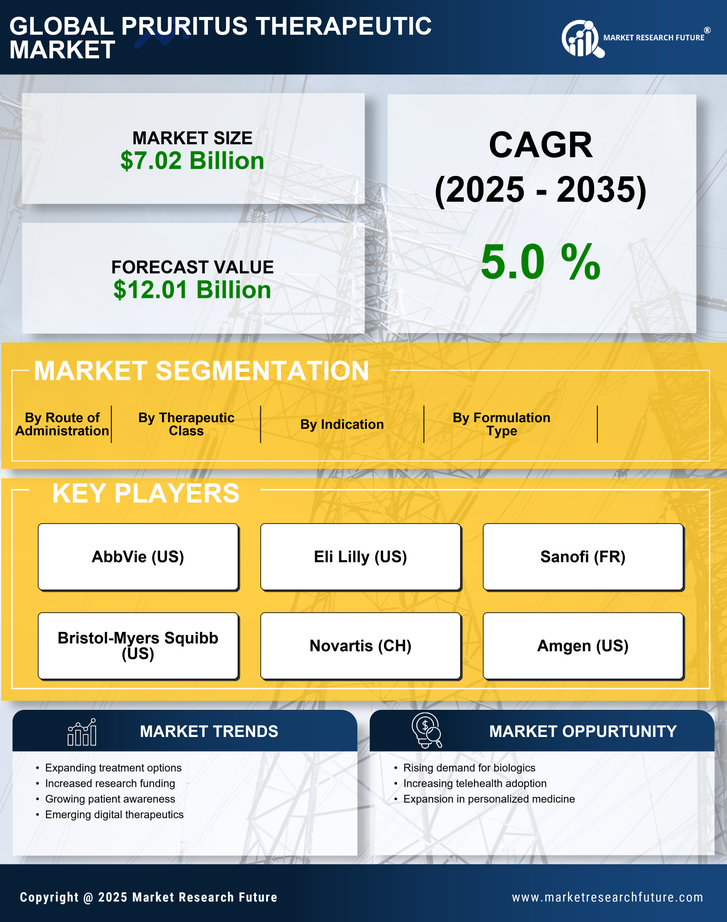 Pruritus Therapeutic Market Research Report - Global Forecast to 2035 Infographic