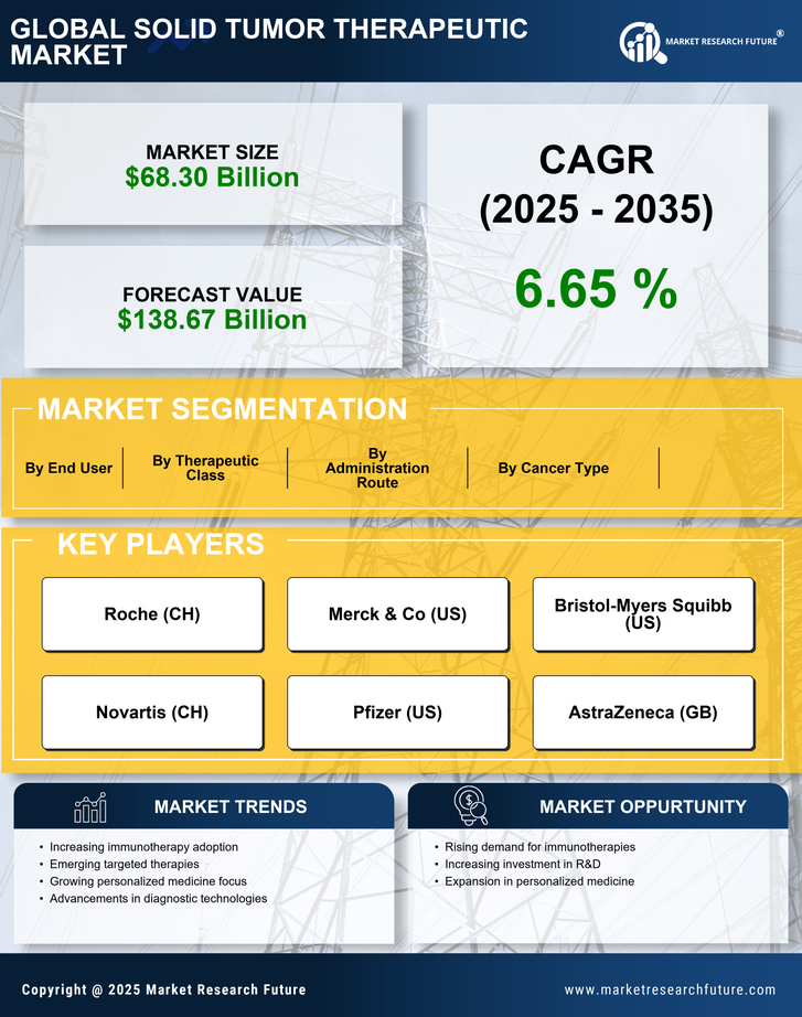Solid Tumor Therapeutic Market Research Report — Global Forecast till 2035 Infographic