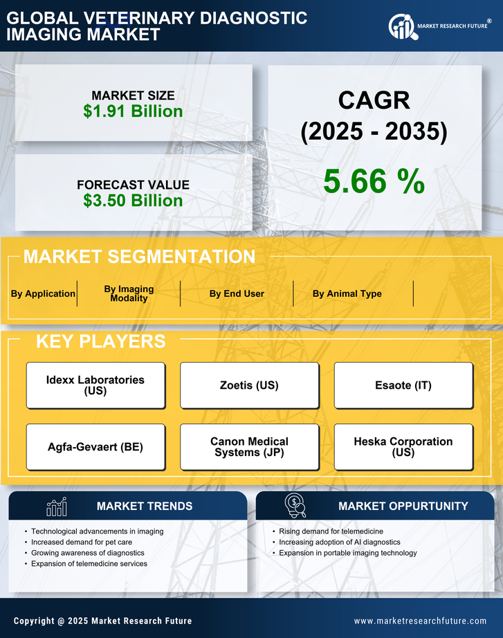 Veterinary Diagnostic Imaging Market - Forecast to 2035 Infographic