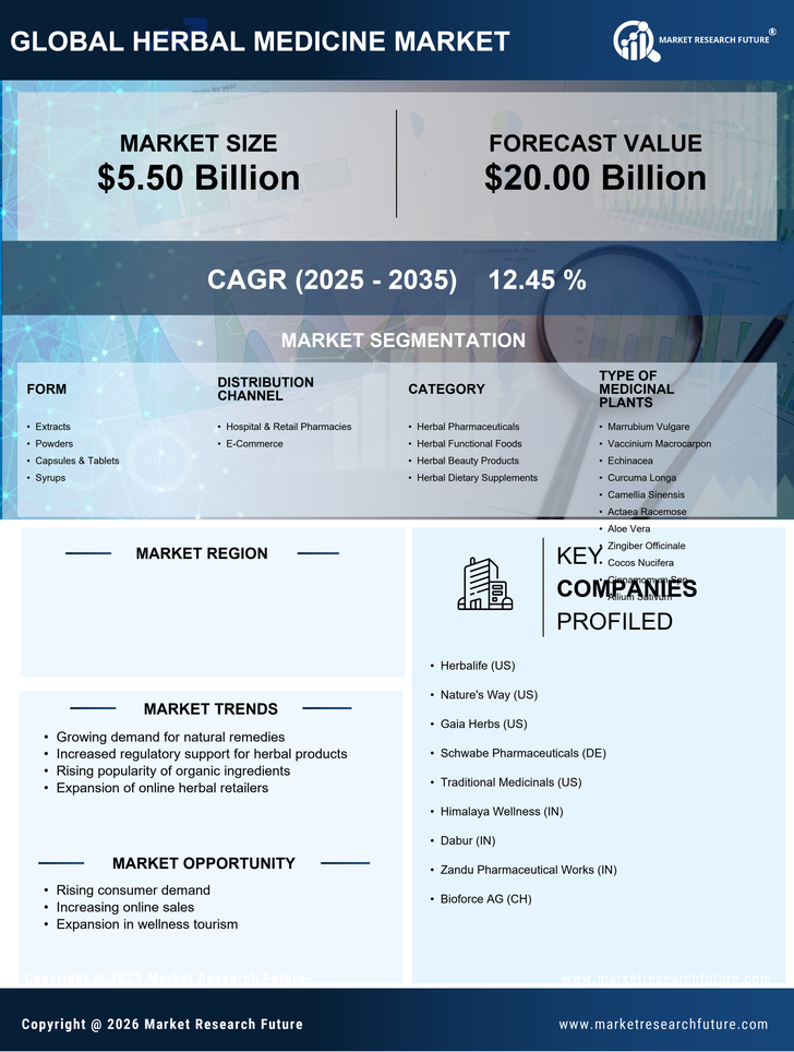 Germany Herbal Medicine Market Size, Growth Outlook 2035 Infographic