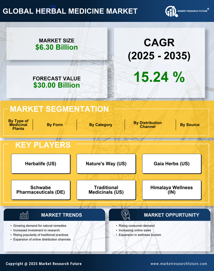 India Herbal Medicine Market Size, Growth Outlook 2035 Infographic