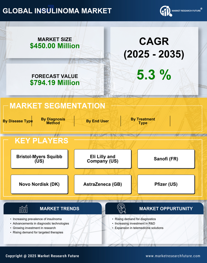 Insulinoma Market Research Report-Forecast to 2035 Infographic