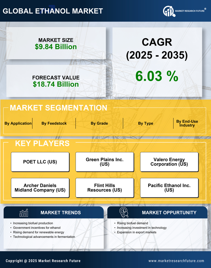 South America Ethanol Market Research Report-Forecast till 2035 Infographic