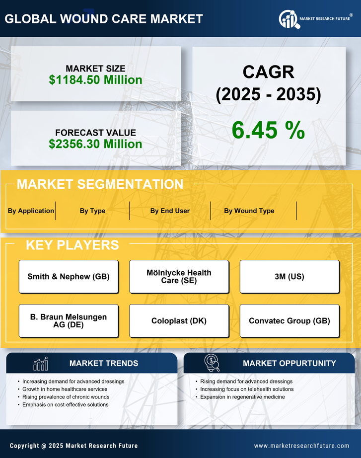 Germany Wound Care Market Research Report —Forecast till 2035 Infographic