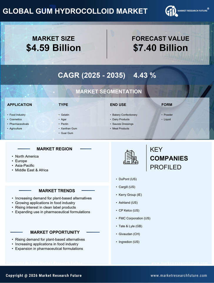 Gum Hydrocolloid Market Research Report — Global Forecast till 2035 Infographic