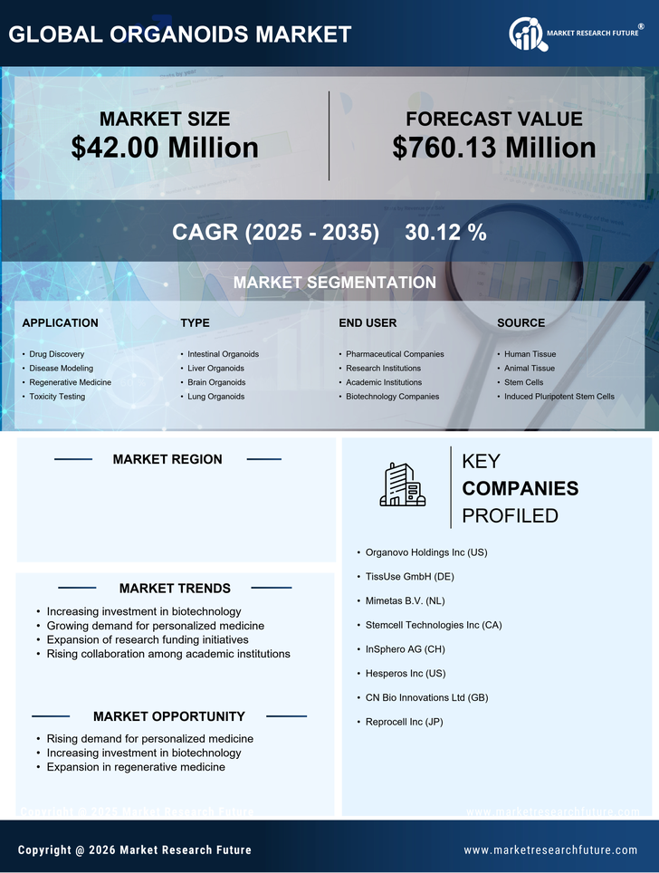 Italy Organoids Market Research Report-Forecast to 2035 Infographic