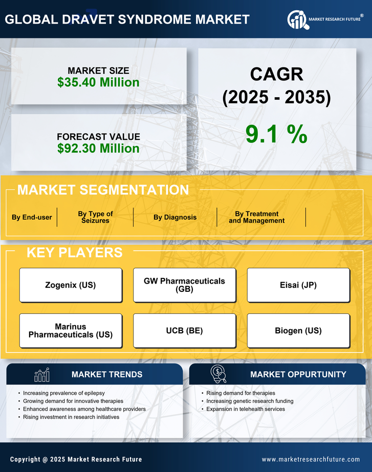 Germany Dravet Syndrome Market Research Report — Forecast till 2035 Infographic