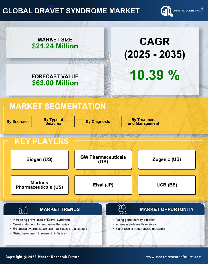France Dravet Syndrome Market Research Report —  Forecast till 2035 Infographic