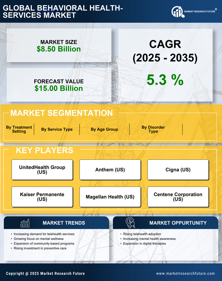 South America Behavioral Health Services Market Research Report — Global Forecast till 2035 Infographic