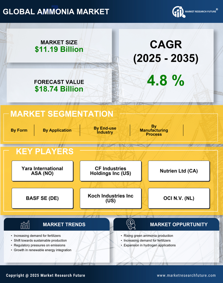 Europe Ammonia Market Research Report - Forecast 2035 Infographic