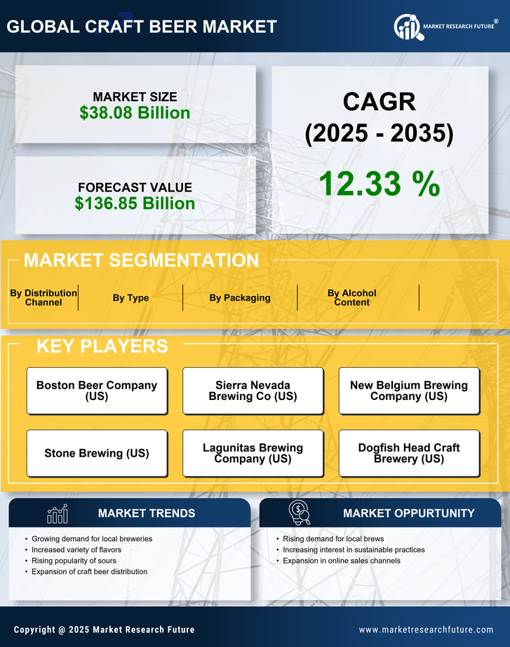 North America Craft Beer Market Research Report- Forecast to 2035 Infographic