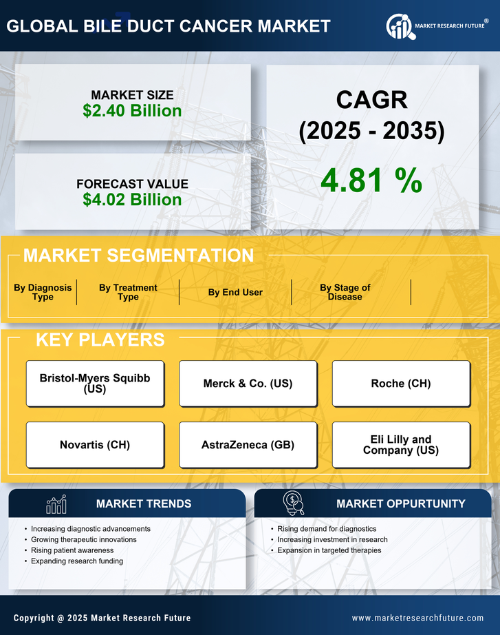 Bile Duct Cancer Market Research Report – Global Forecast Till 2035 Infographic
