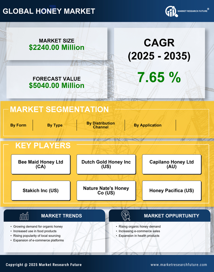 North America Honey Market Research Report — Forecast till 2035 Infographic