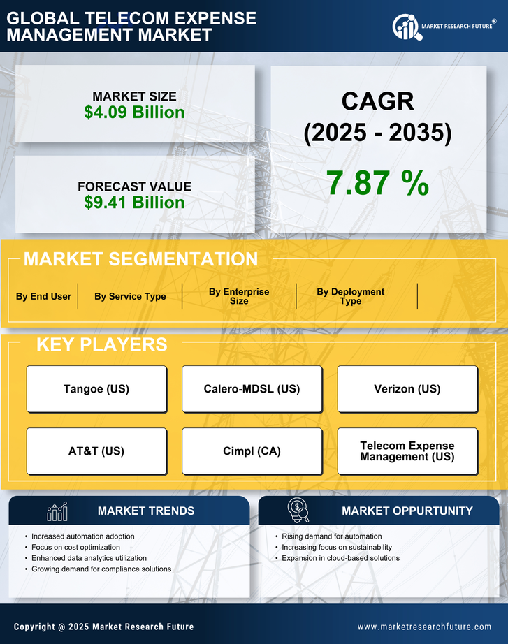 Telecom Expense Management Market Research Report- Forecast till 2035 Infographic
