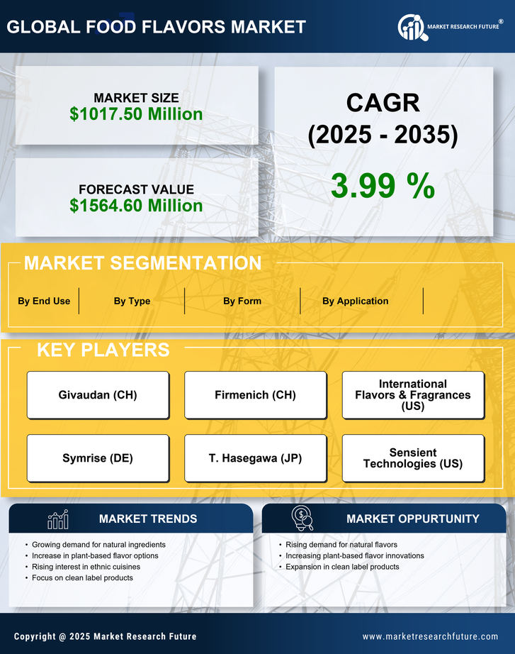 Germany Food Flavors Market Research Report — Forecast till 2035 Infographic