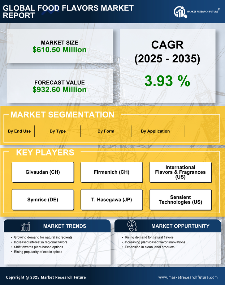 France Food Flavors Market Research Report — Forecast till 2035 Infographic