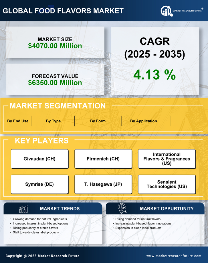 Europe Food Flavors Market Research Report — Forecast till 2035 Infographic