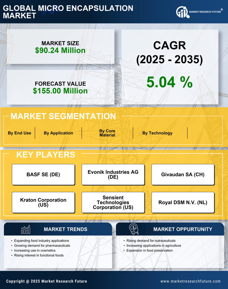 Indonesia Micro Encapsulation Market Research Report — Forecast till 2035 Infographic