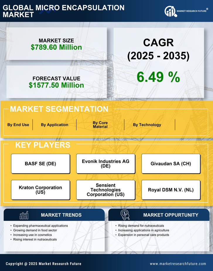 China Micro Encapsulation Market Research Report — Forecast till 2035 Infographic