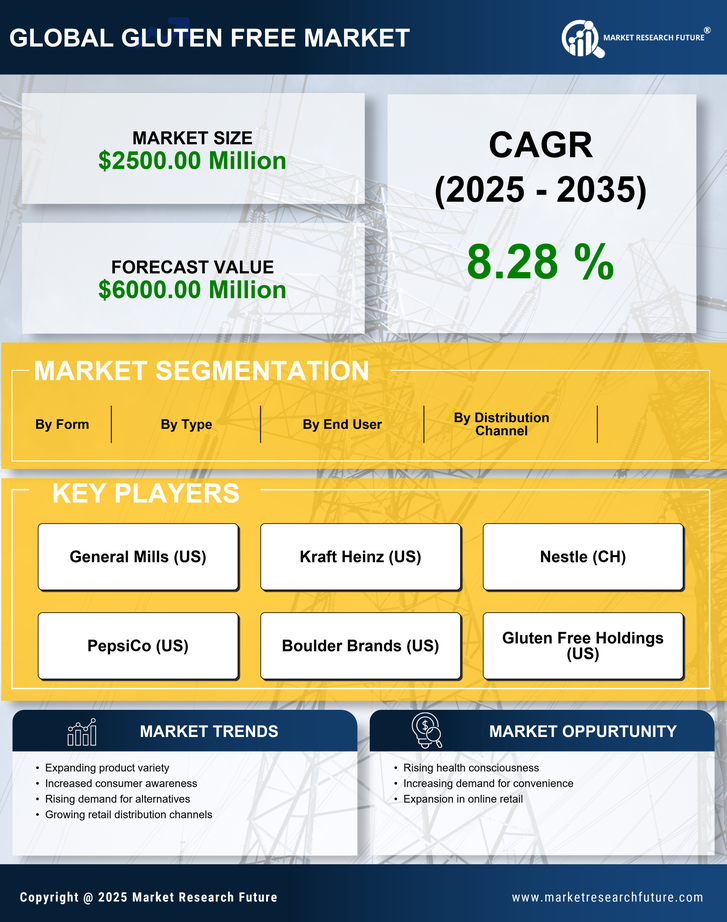 North America Gluten Free Products Market Research Report Forecast till 2035 Infographic