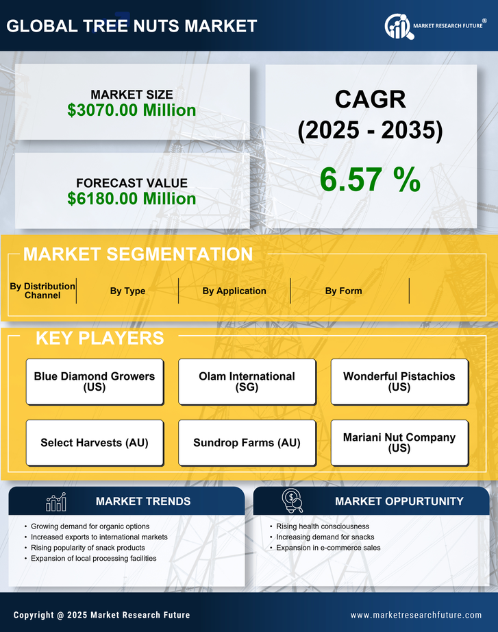 Brazil Tree Nuts Market Research Report - Forecast Till 2035 Infographic