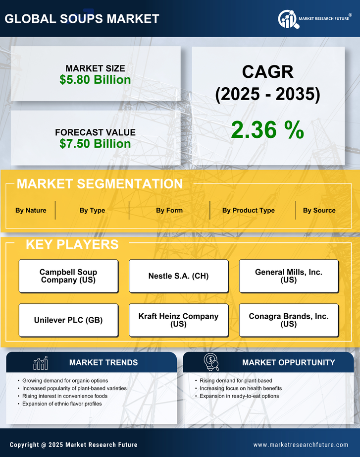 North America Soups Market Infographic