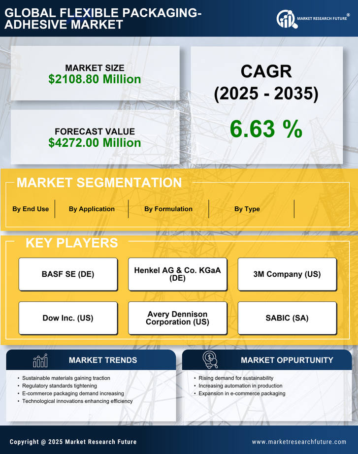 China Flexible Packaging Adhesive Market Research Report - Forecast 2035 Infographic