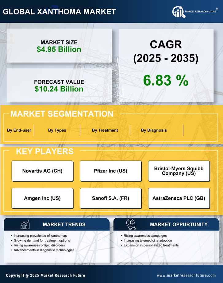 Xanthoma Market Research Report- Forecast till 2035 Infographic