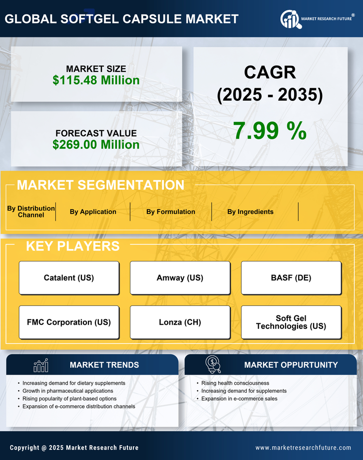 France Softgel Capsule Market Research Report- Forecast to 2035 Infographic