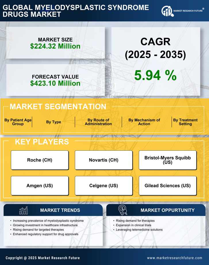 GCC Myelodysplastic Syndrome Drugs Market Research Report-Forecast to 2035 Infographic