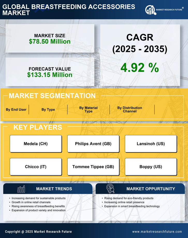 Spain Breast Feeding Accessories Market Infographic