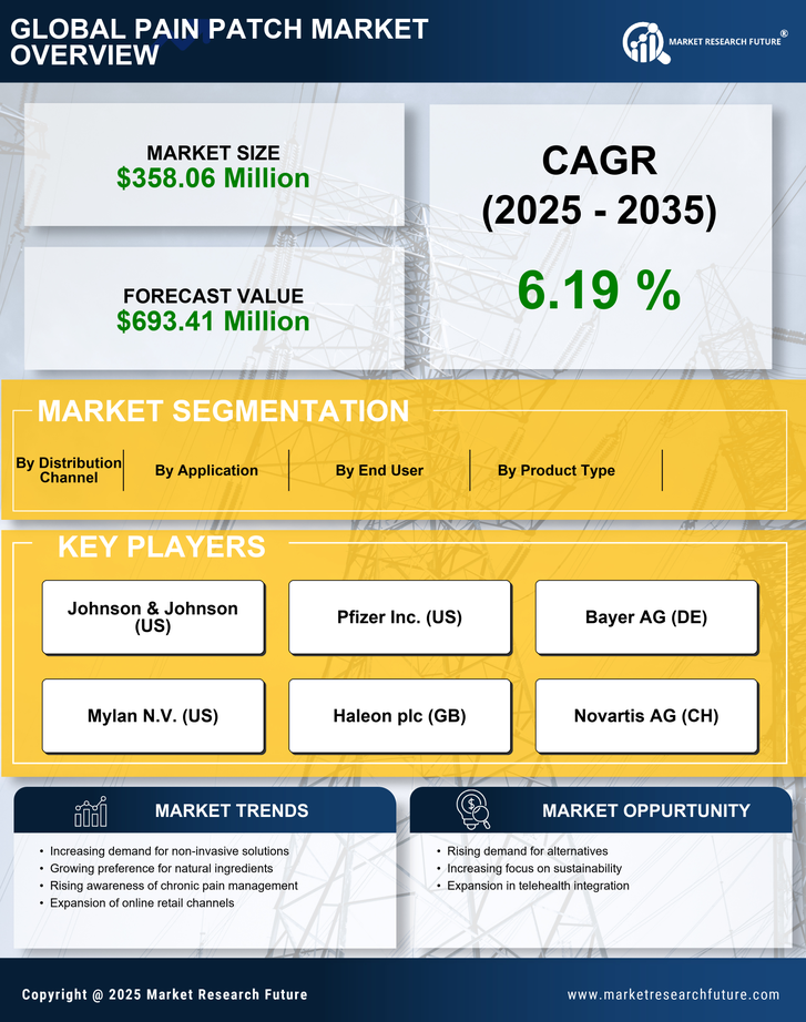 France Pain Patch Market -Forecast to 2035 Infographic