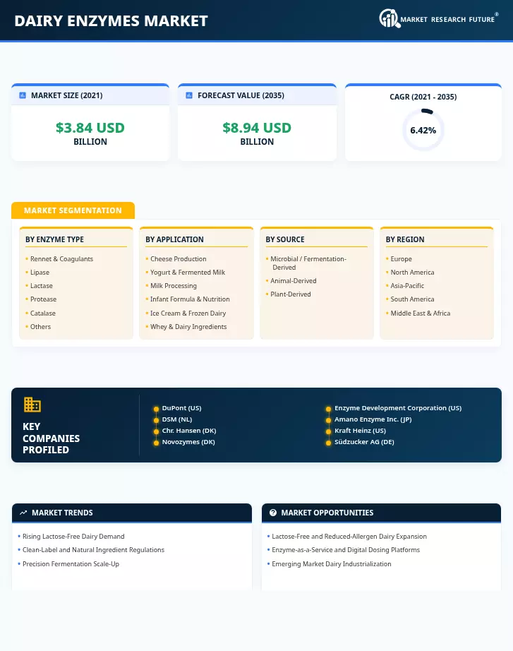 Dairy Enzymes Market Research Report – Forecast to 2035 Infographic
