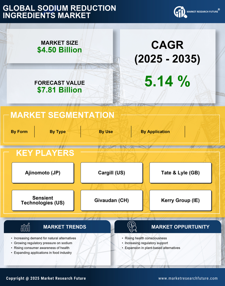 Sodium Reduction Ingredients Market Research Report - Global Forecast till 2035 Infographic