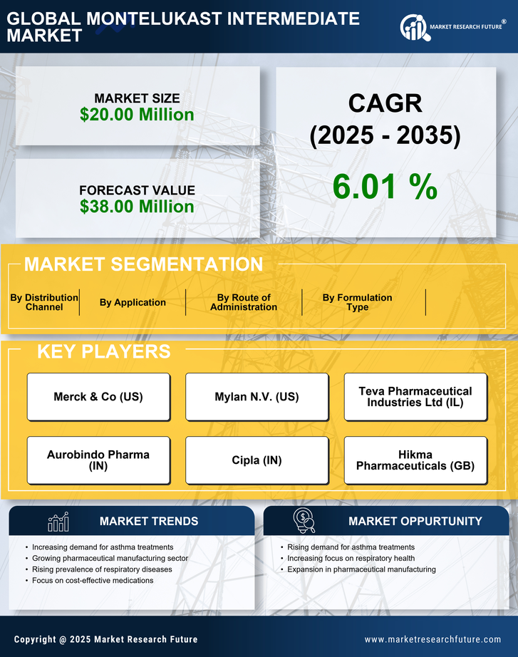 India Montelukast Intermediate Market Research Report — Global Forecast till 2035 Infographic