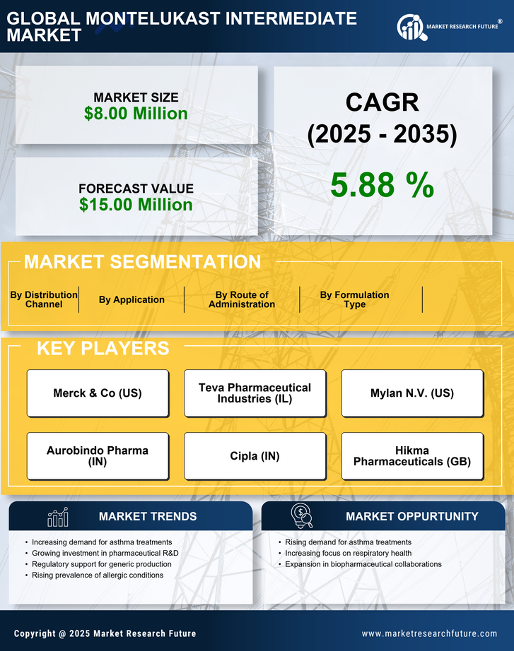 Spain Montelukast Intermediate Market Research Report — Global Forecast till 2035 Infographic