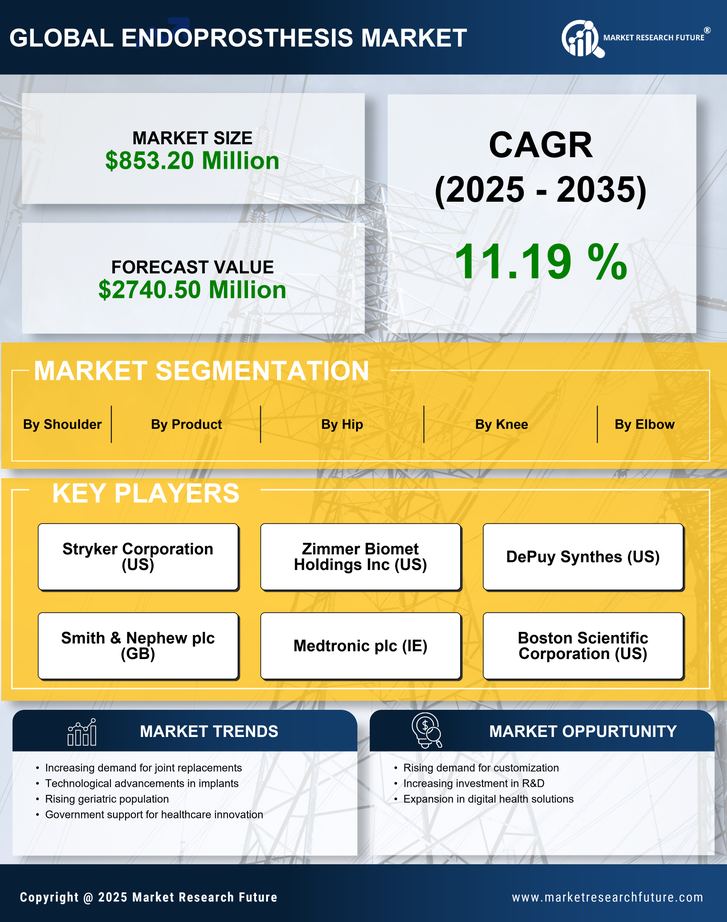 China Endoprosthesis Market Research Report - Forecast to 2035 Infographic