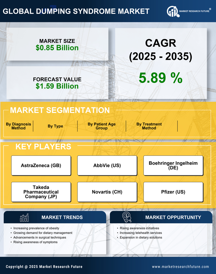 Dumping Syndrome Market Research Report - Forecast till 2035 Infographic