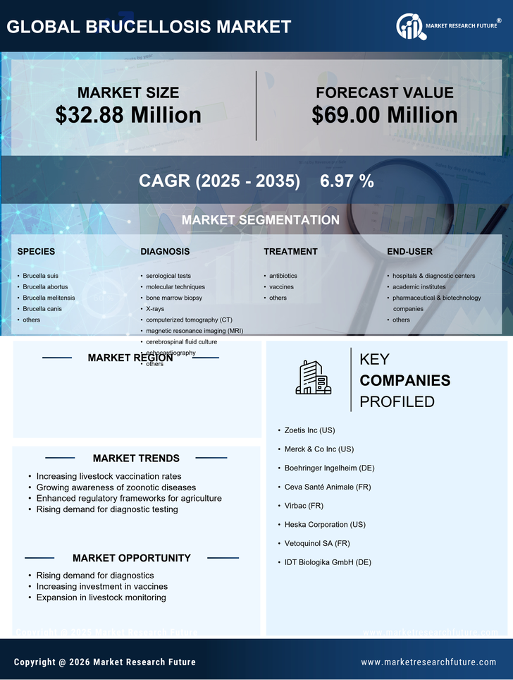 Germany Brucellosis Market Research Report- Forecast To 2035 Infographic