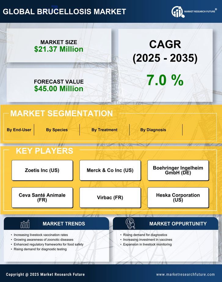 Italy Brucellosis Market Research Report- Forecast To 2035 Infographic