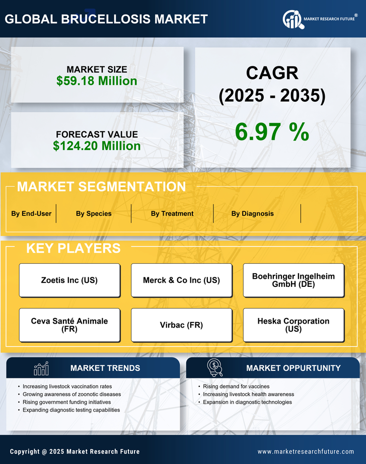 China Brucellosis Market Research Report- Forecast To 2035 Infographic