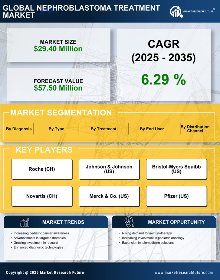 South Korea Nephroblastoma Treatment Market Infographic