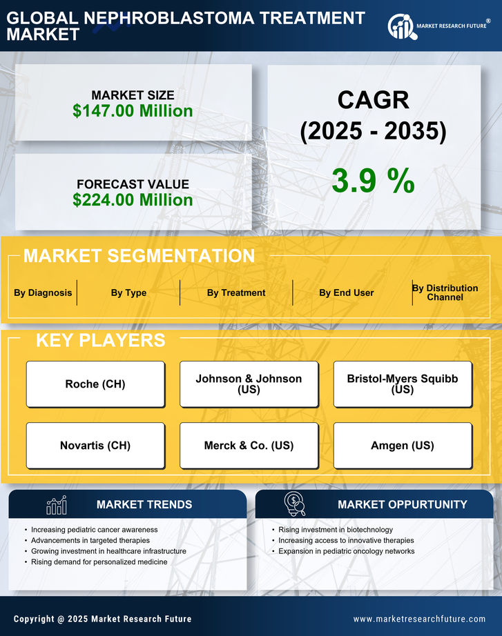 South America Nephroblastoma Treatment Market Infographic