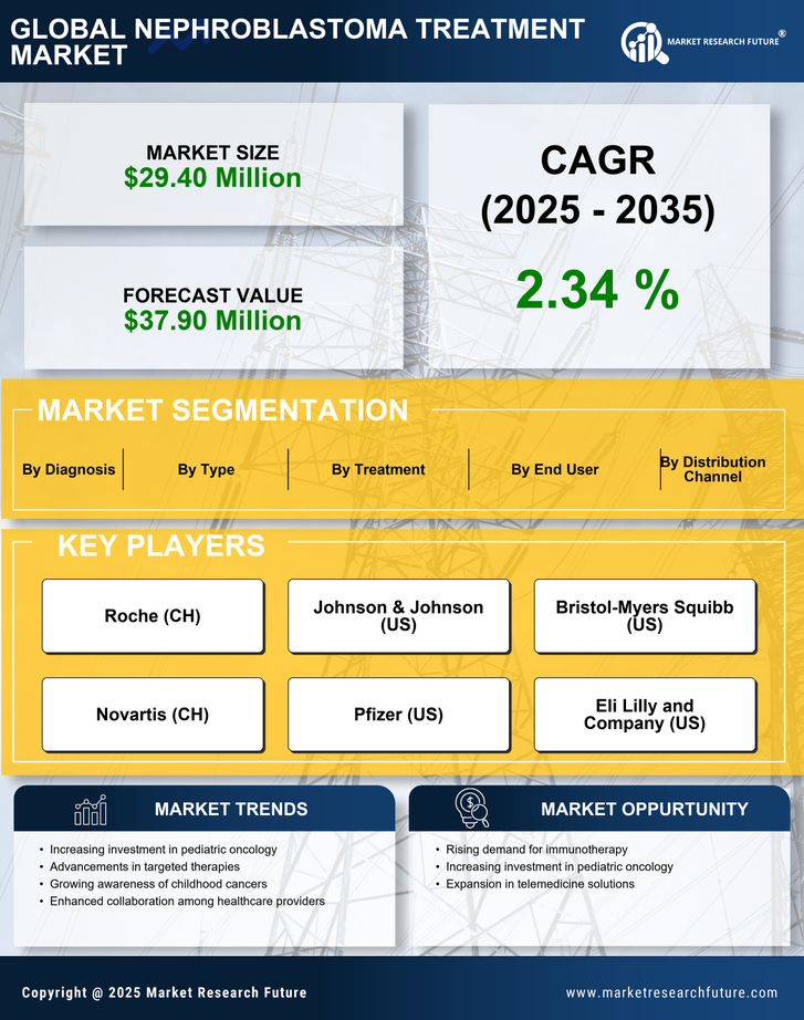 Spain Nephroblastoma Treatment Market Infographic