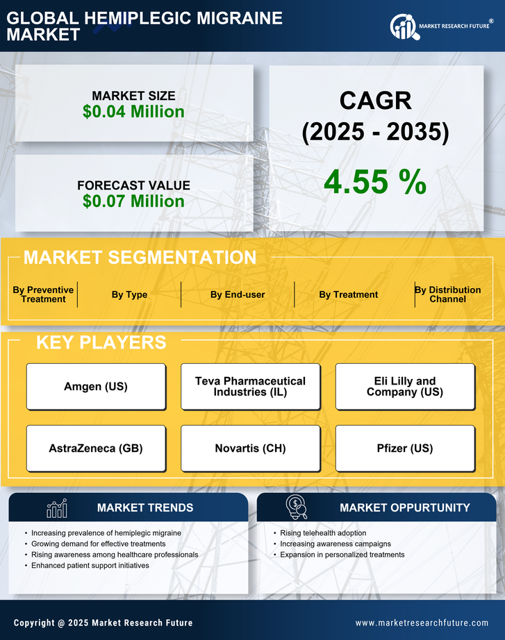 Italy Hemiplegic Migraine Market Research Report-Forecast to 2035 Infographic