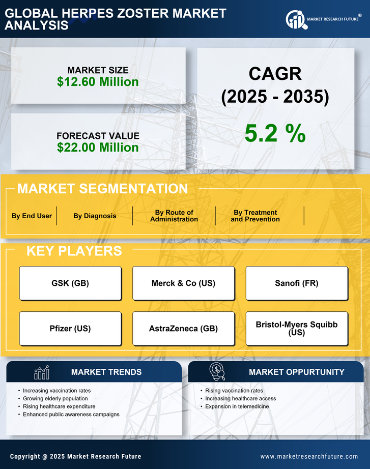 China Herpes Zoster Market Research Report-Forecast to 2035 Infographic