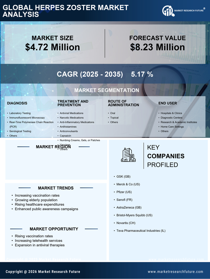 Spain Herpes Zoster Market Research Report-Forecast to 2035 Infographic