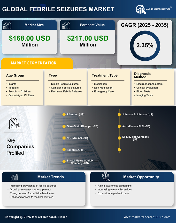 South America Febrile Seizures Market Research Report-Forecast to 2035 Infographic