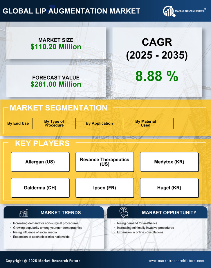Spain Lip Augmentation Market Research Report - Forecast to 2035 Infographic