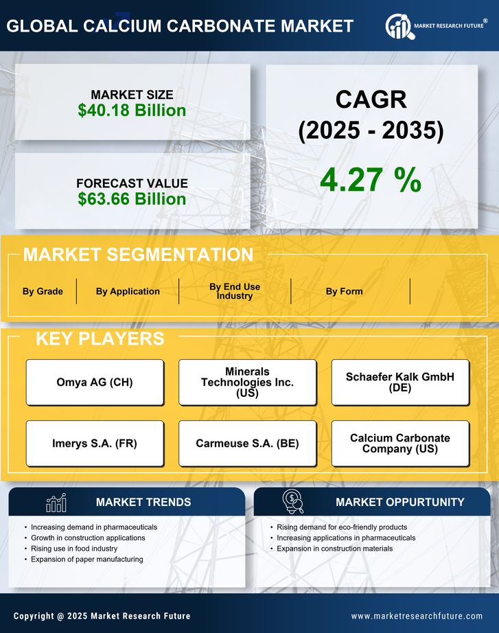 Calcium Carbonate Market Research Report - Global Forecast till 2035 Infographic